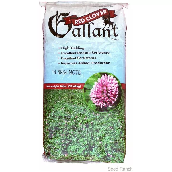 gallant-red-clover-seed-discontinued Gallant Red Clover Seed (Discontinued)