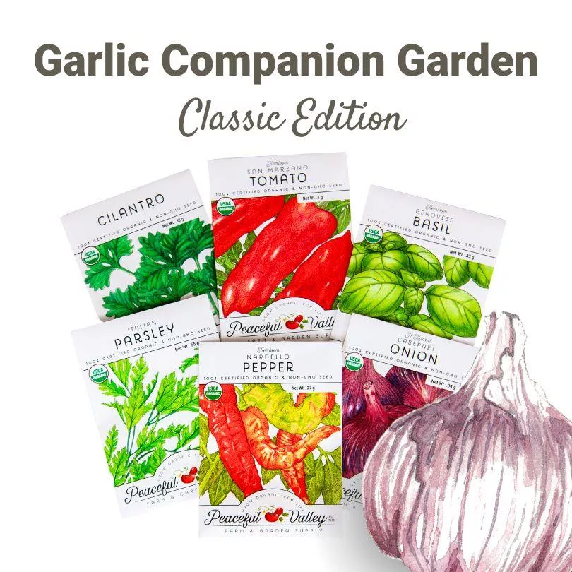 garlic-companion-garden-classic-edition The Garlic Companion Garden – Classic Edition