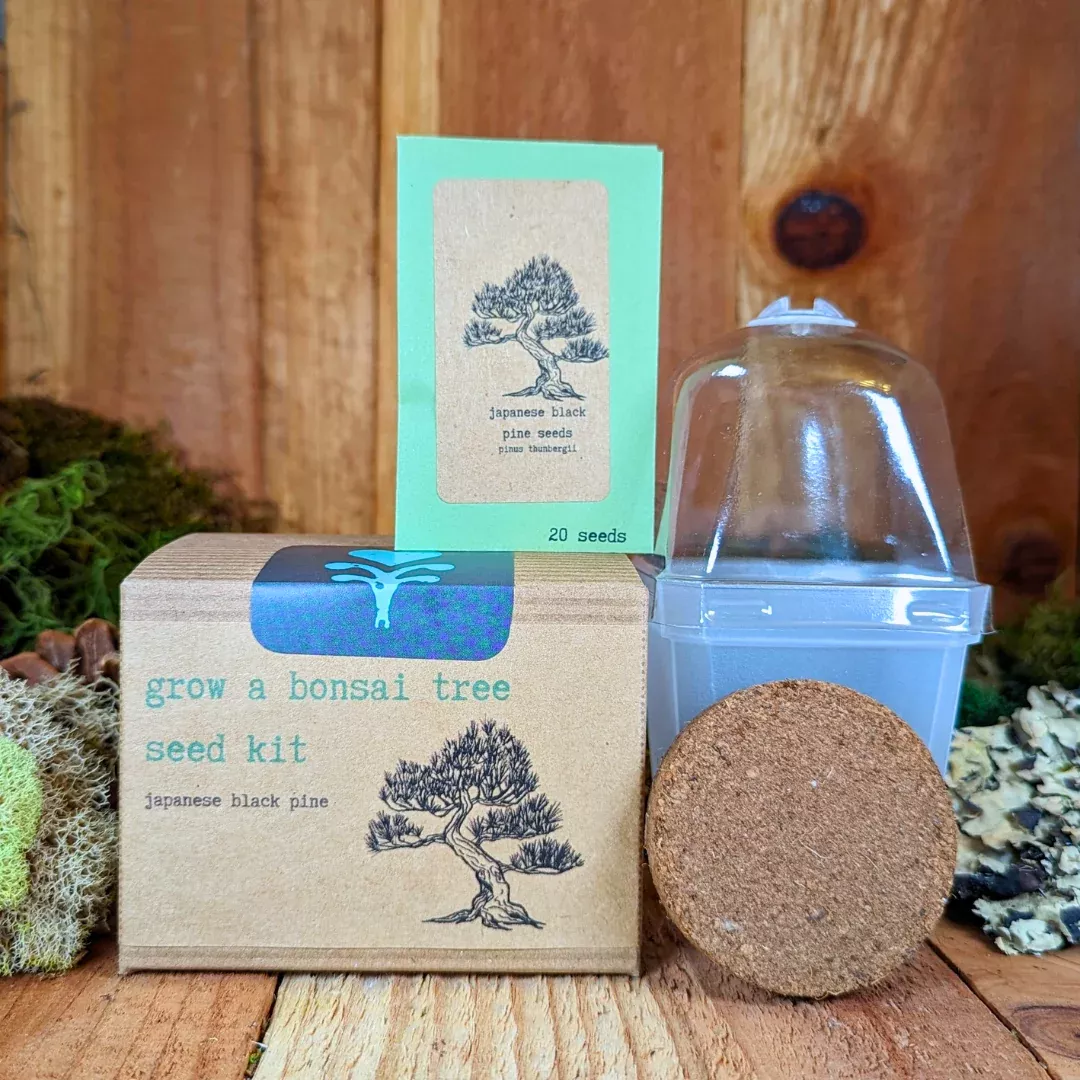 grow-bonsai-plant-seed-kit Grow a Bonsai Plant Seed Kit