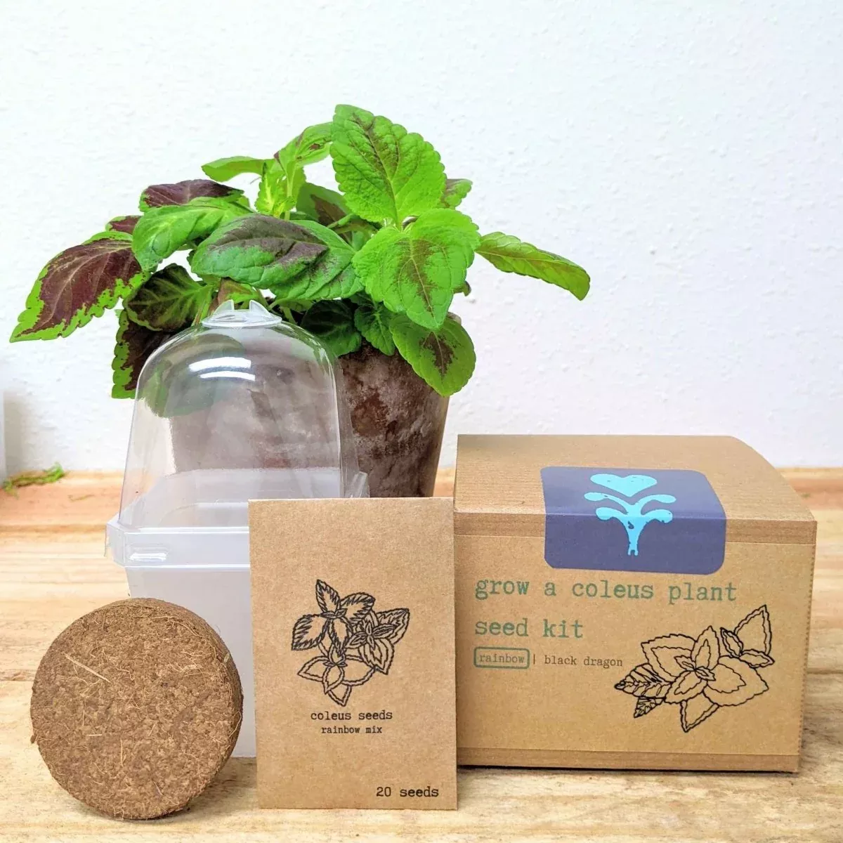 grow-coleus-seed-kit Grow a Coleus Seed Kit