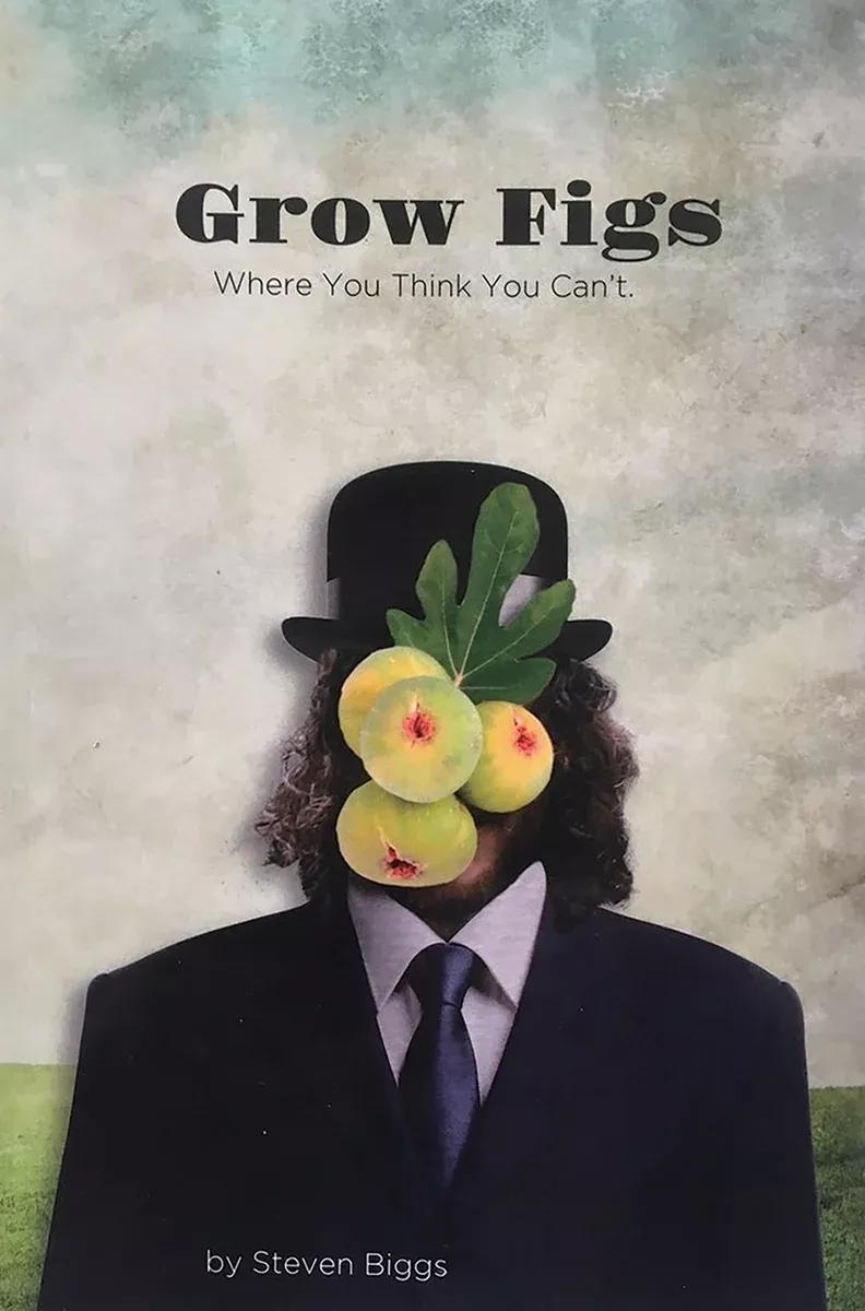 grow-figs-where-you-think-you-can-t Grow Figs Where You Think You Can't