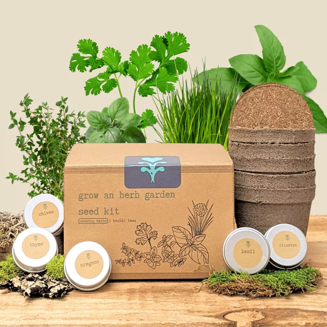 grow-herb-garden-cooking-herbs-seed-kit "Grow an Herb Garden" Cooking Herbs Seed Kit