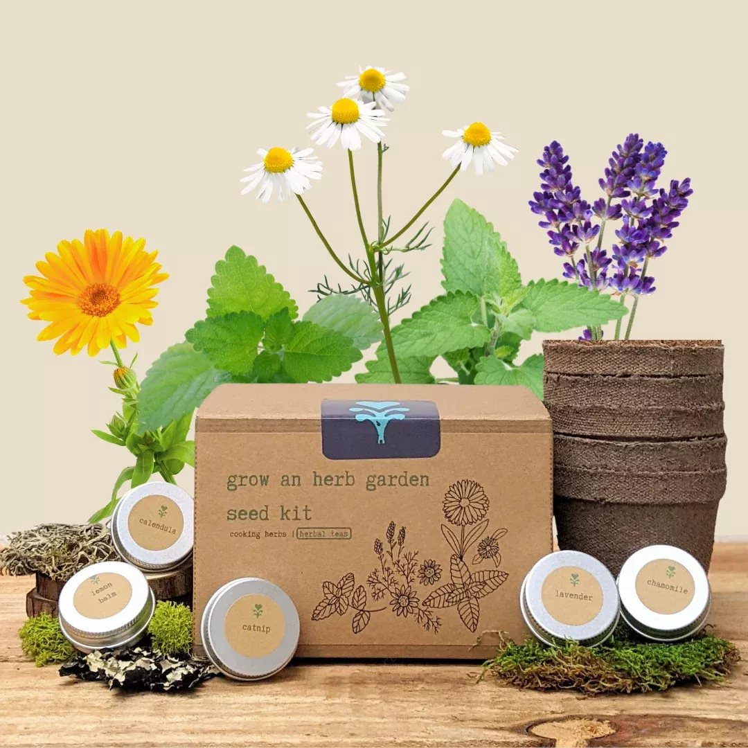 grow-herb-garden-herbal-teas-seed-kit "Grow an Herb Garden" Herbal Teas Seed Kit