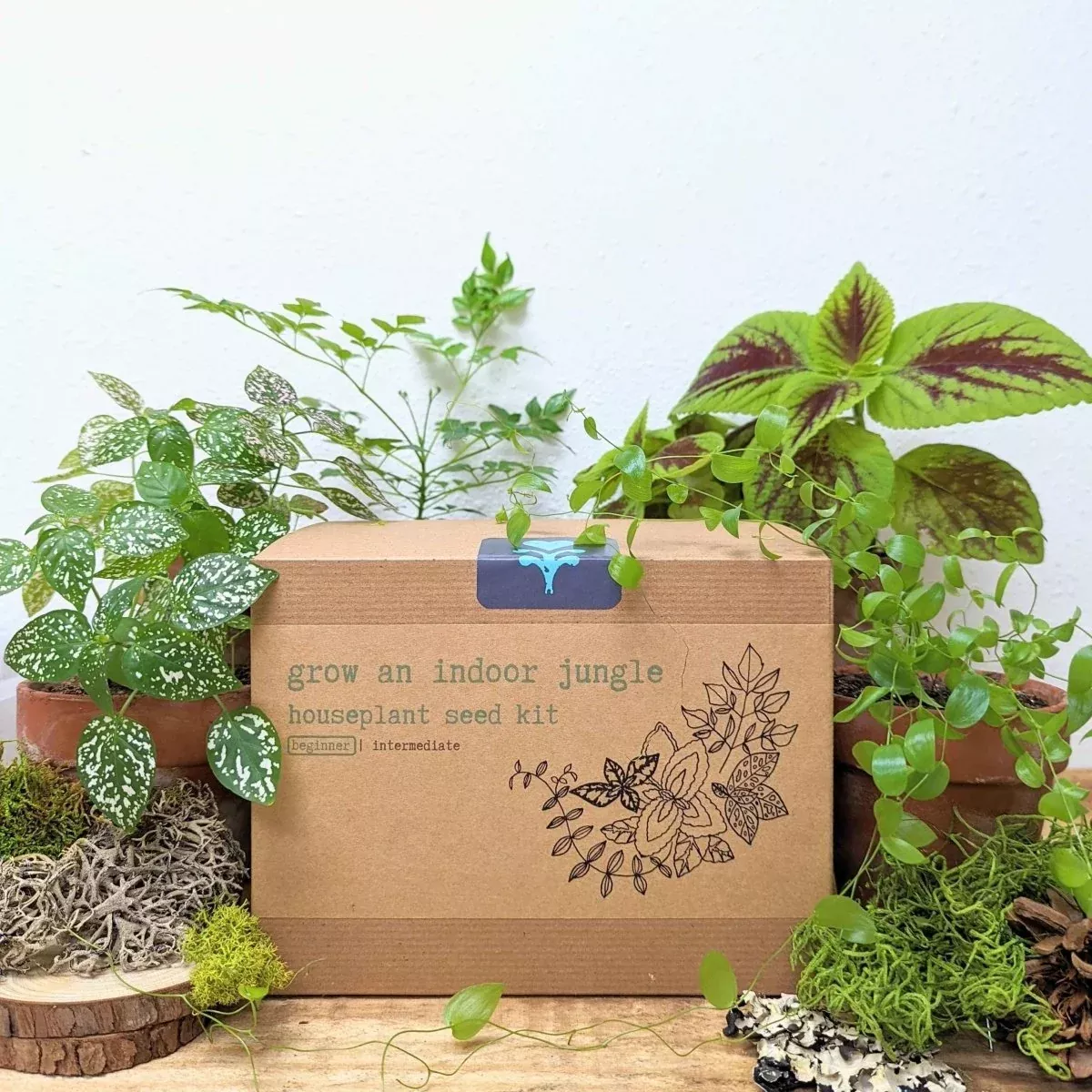 grow-indoor-jungle-houseplant-seed-kit "Grow an Indoor Jungle" Houseplant Seed Kit