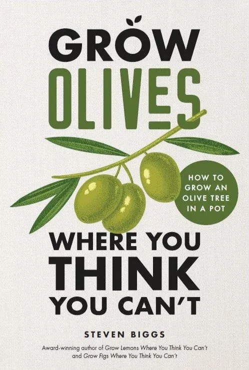 grow-olives-where-you-think-you-can-t Grow Olives Where You Think You Can't
