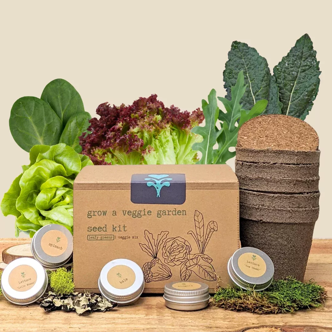 grow-veggie-garden-leafy-greens-seed-kit "Grow a Veggie Garden" Leafy Greens Seed Kit