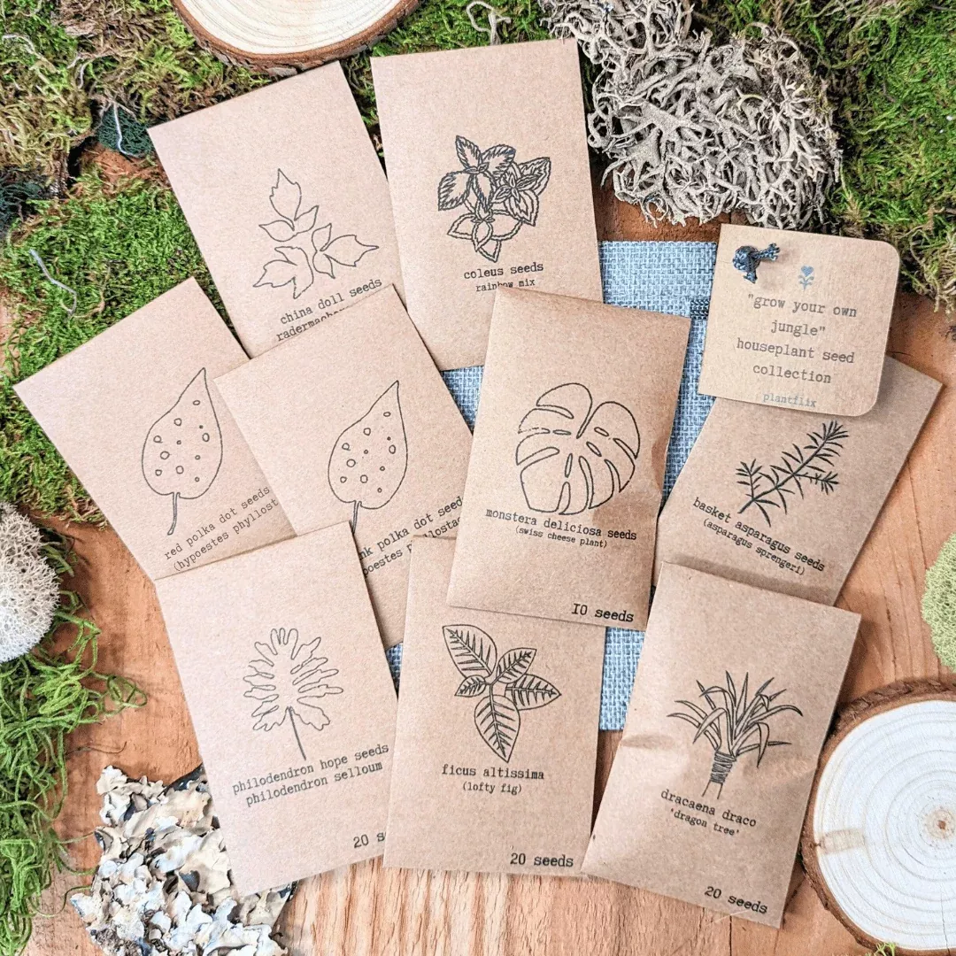 grow-your-own-jungle-houseplant-seed-collection "Grow your own Jungle" Houseplant Seed Collection