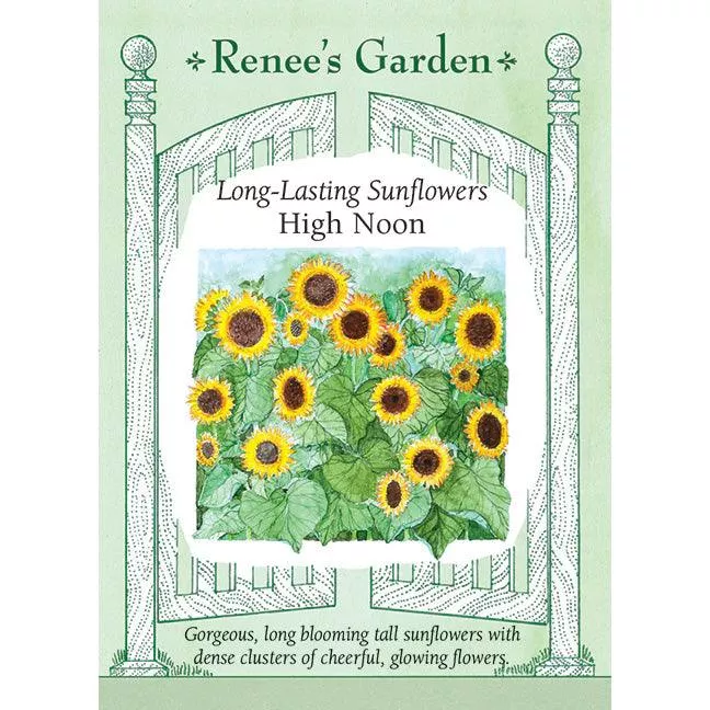 ‘High Noon’ Long-Lasting Sunflower Seeds