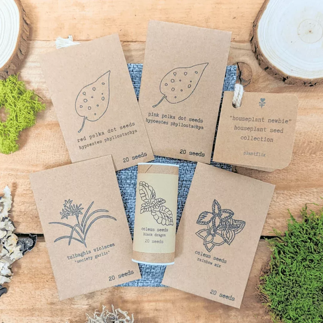 houseplant-newbie-houseplant-seed-collection "Houseplant Newbie" Houseplant Seed Collection