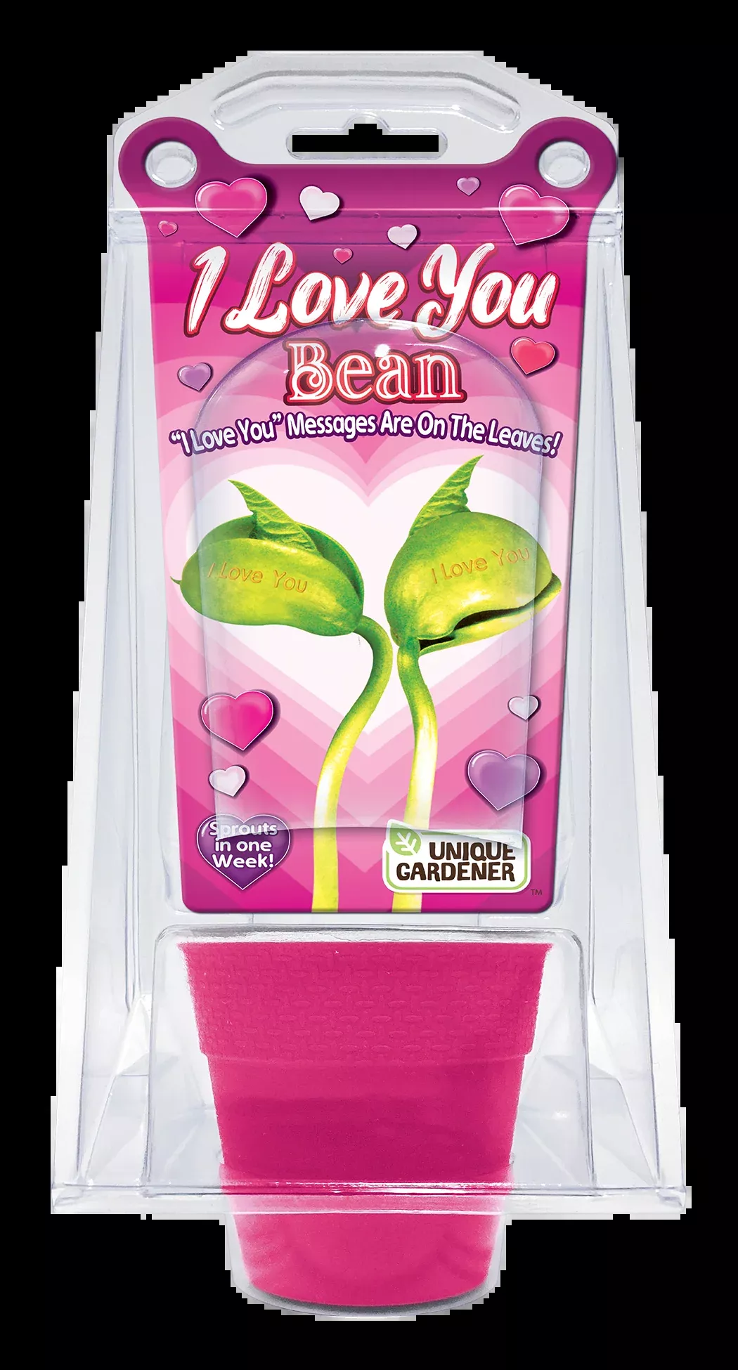 i-love-you-bean-terrarium "I Love You" Bean Terrarium