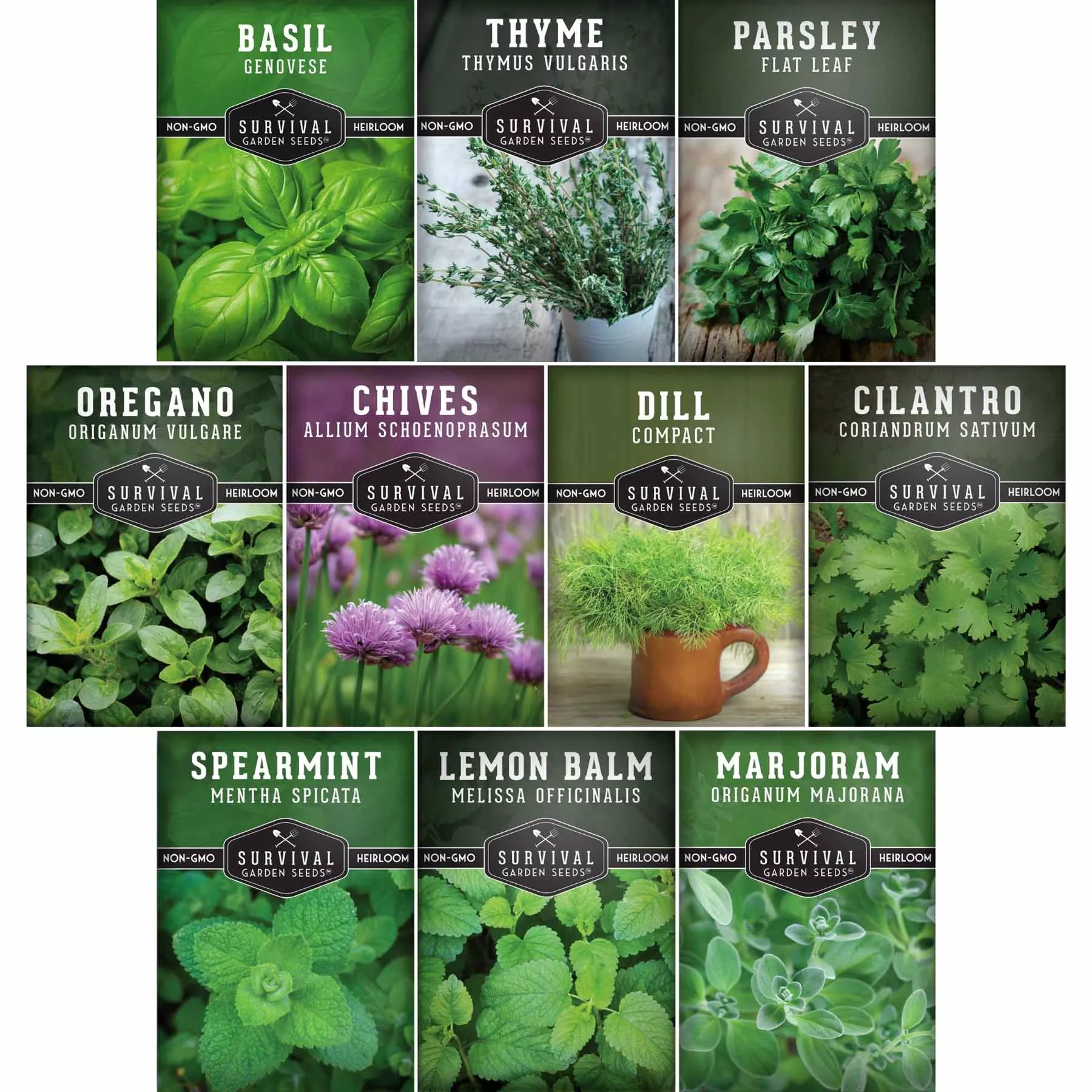 indoor-herb-garden-seeds-variety-pack-10-heirloom-culinary-herbs-windowsill-or-c Indoor Herb Garden Seeds Variety Pack – 10 Heirloom Culinary Herbs for Windowsill or Container Growing
