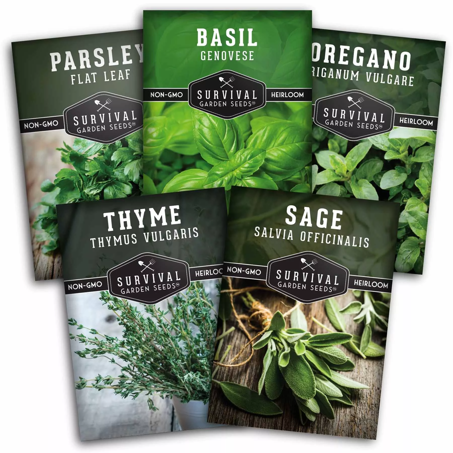 italian-herb-seeds-collection-genovese-basil-oregano-thyme-sage-flat-leaf-parsle Italian Herb Seeds Collection – Genovese Basil, Oregano, Thyme, Sage, and Flat-Leaf Parsley for Indoor or Outdoor Culinary Gardens