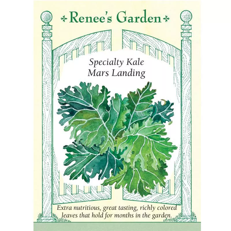 ‘Mars Landing’ Specialty Kale Seeds