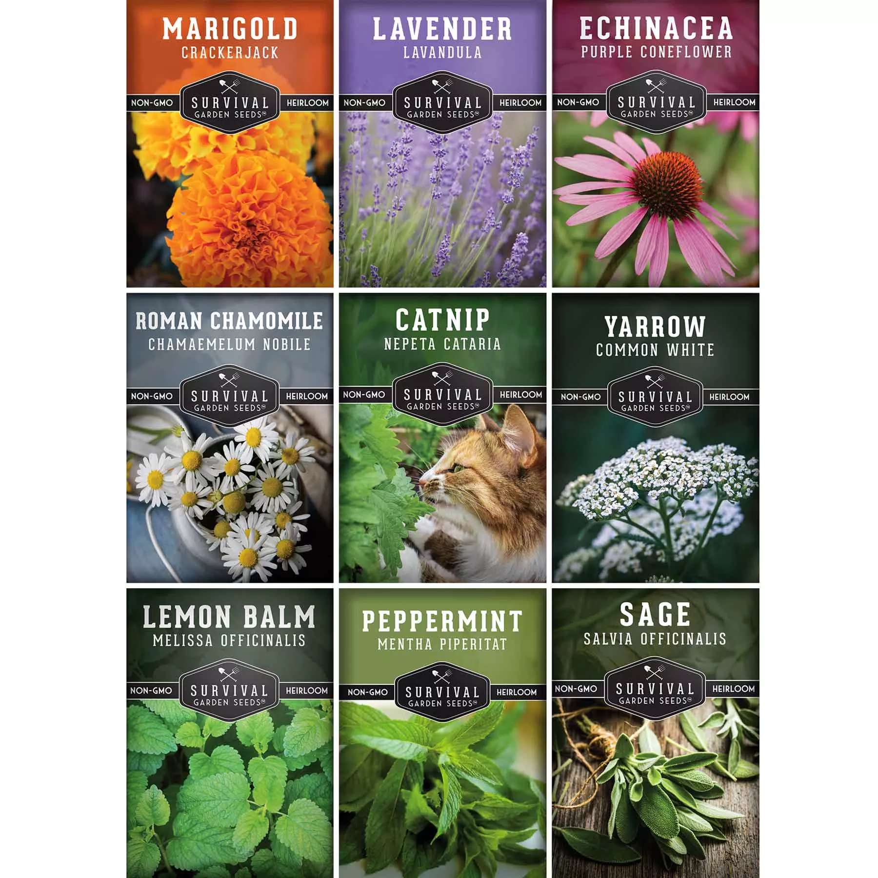 medicinal-tea-seed-collection-9-flowers-herbs-medicinal-tea Medicinal Tea Seed Collection - 9 Flowers and Herbs for Medicinal Tea