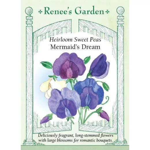 ‘Mermaid’s Dream’ Heirloom Sweet Pea Seeds