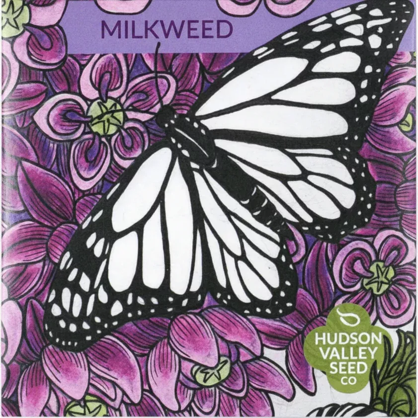 milkweed-seeds Milkweed Seeds