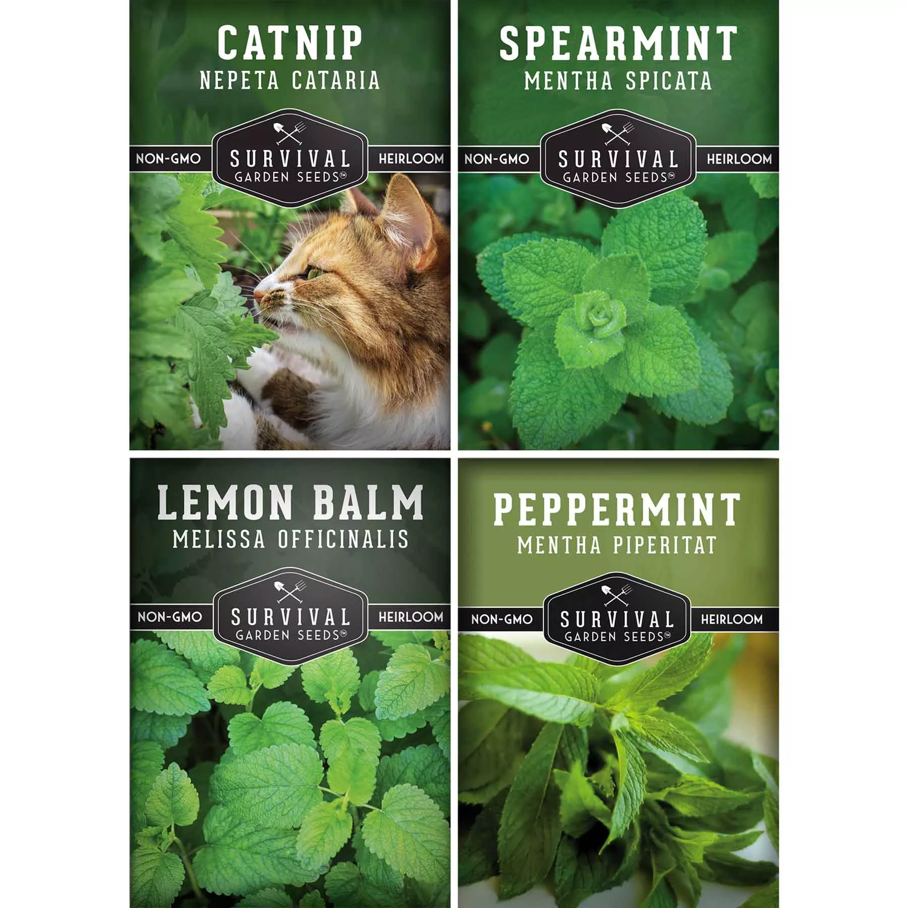 mint-seed-mix-4-variety-pack-peppermint-spearmint-lemon-balm-catnip-fragrant-cul Mint Seed Mix – 4 Variety Pack: Peppermint, Spearmint, Lemon Balm & Catnip – Fragrant Culinary & Medicinal Herbs for Indoor or Outdoor Gardens
