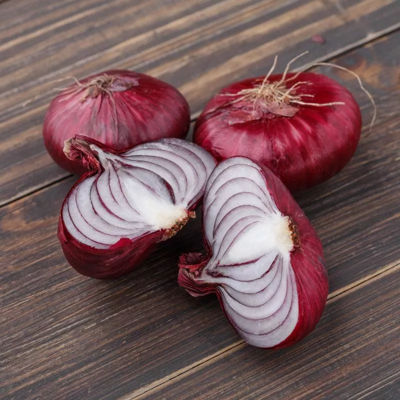 onion-sets-dutch-red-baron-pack-75 Onion Sets Dutch - Red Baron (Pack of 75)