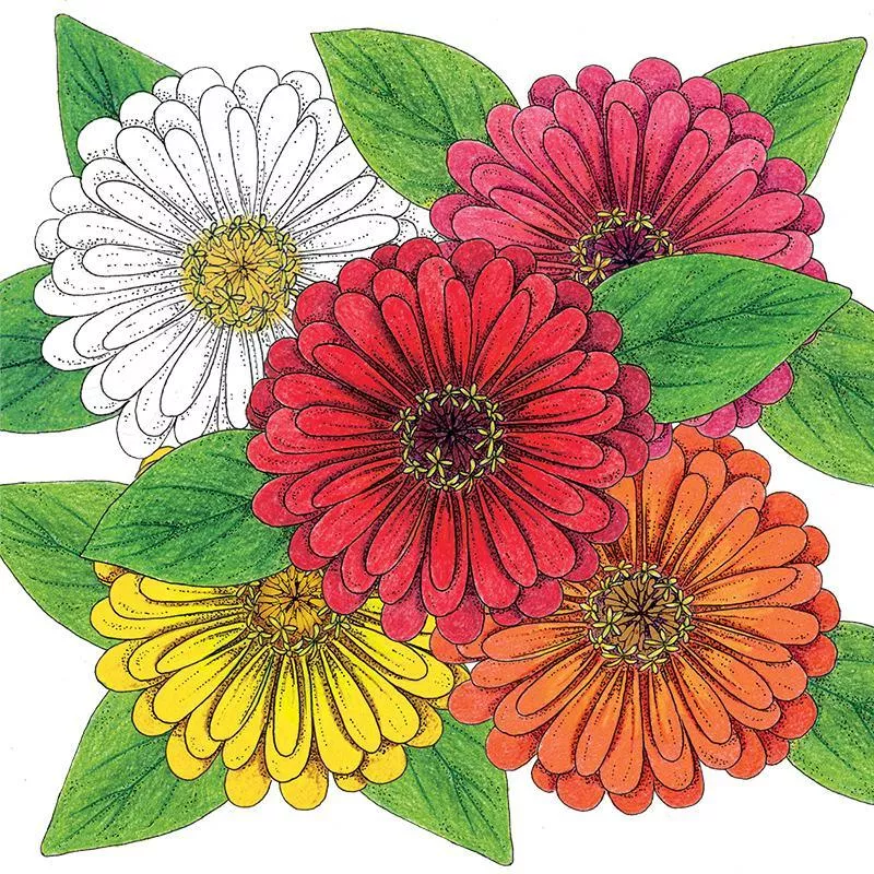 organic-zinnia-thumbelina-mix-1-oz Organic Zinnia, Thumbelina Mix 1 oz