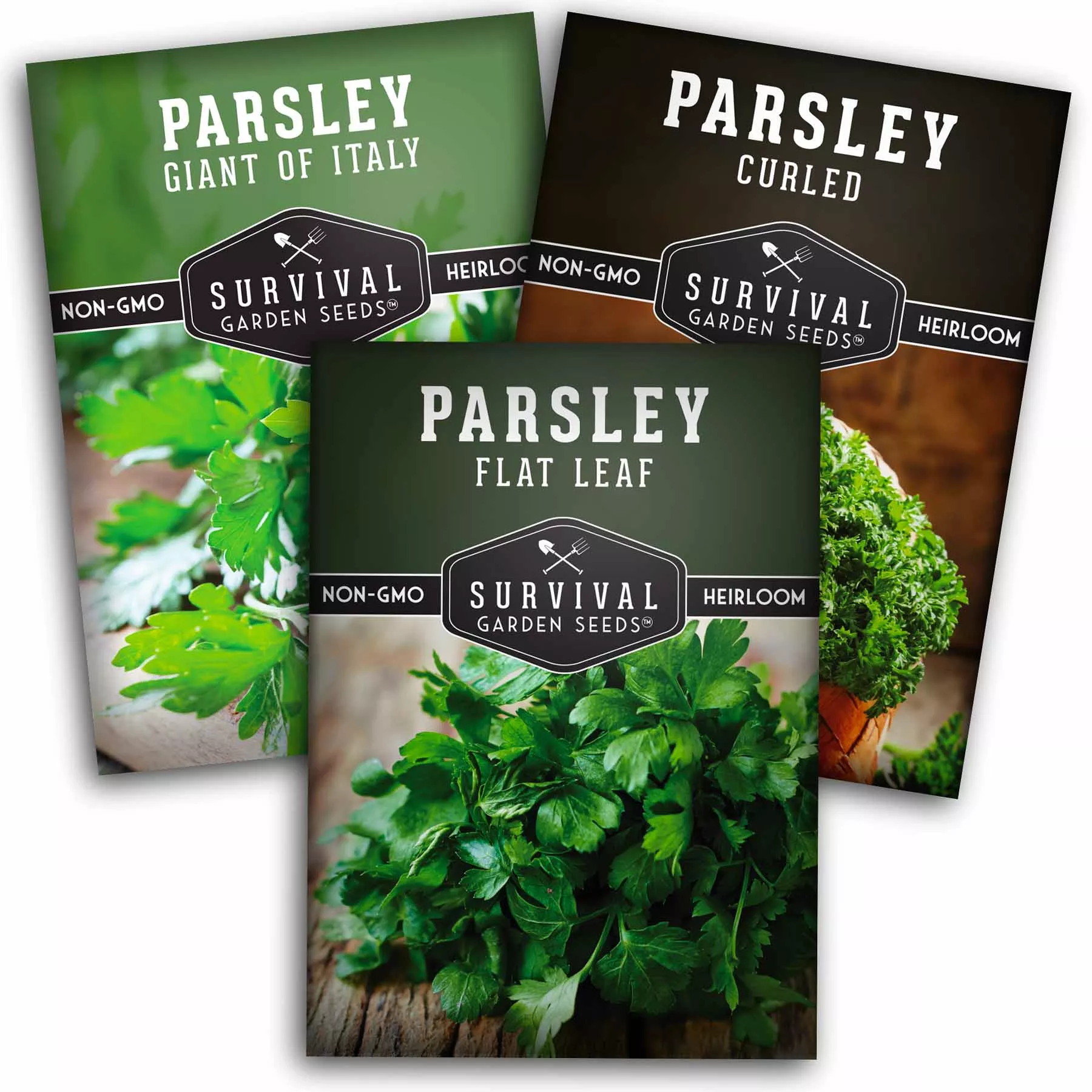 parsley-seeds-planting-3-varieties-italian-giant-curly-flat-leaf-parsley-indoor- Parsley Seeds for Planting – 3 Varieties: Italian Giant, Curly, and Flat Leaf Parsley for Indoor or Outdoor Herb Gardens