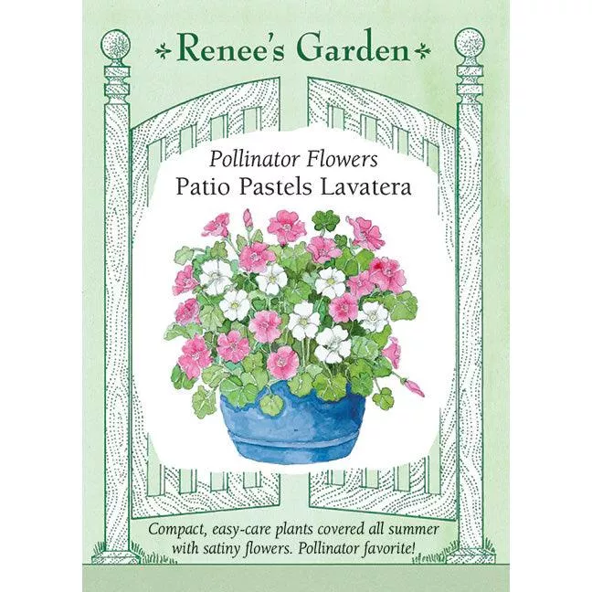 ‘Patio Pastels Lavatera’ Pollinator Flower Seeds