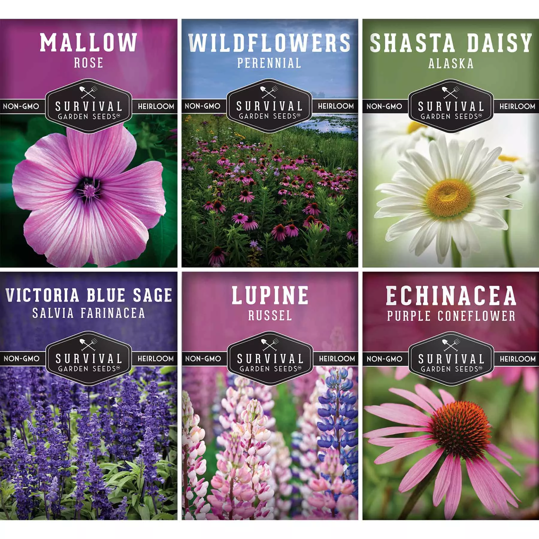 perennial-flowers-mix-shasta-daisy-echinacea-russell-lupine-rose-mallow-blue-sag Perennial Flowers Mix - Shasta Daisy, Echinacea, Russell Lupine, Rose Mallow, Blue Sage, and Perennial Wildflower Mix