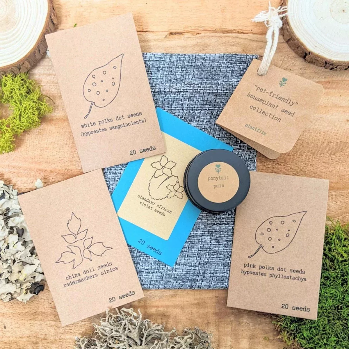 pet-friendly-houseplant-seed-collection "Pet-Friendly" Houseplant Seed Collection