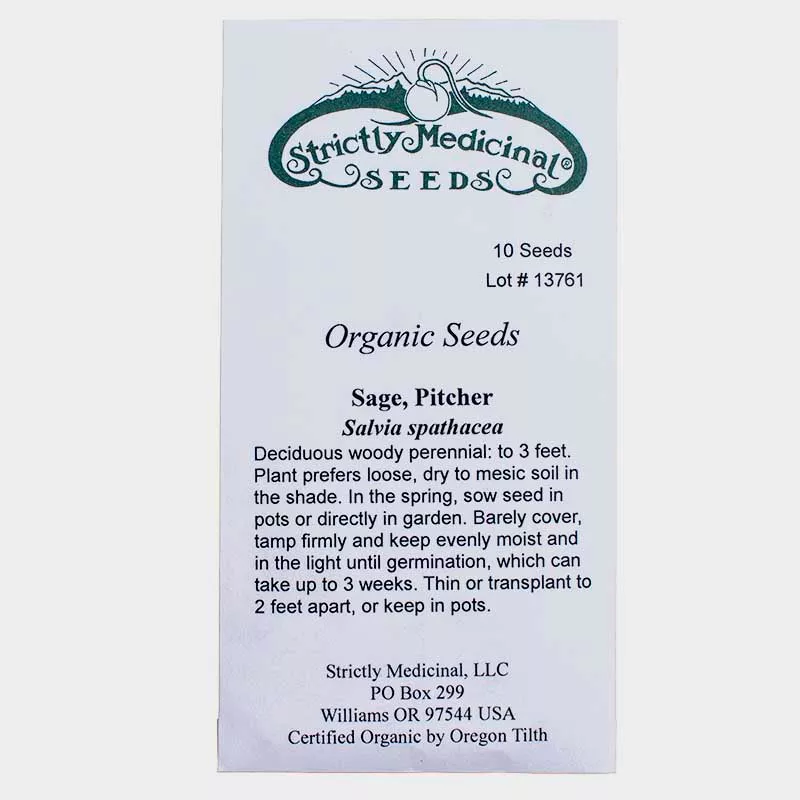 pitcher-sage-seeds-organic Pitcher Sage Seeds (Organic)