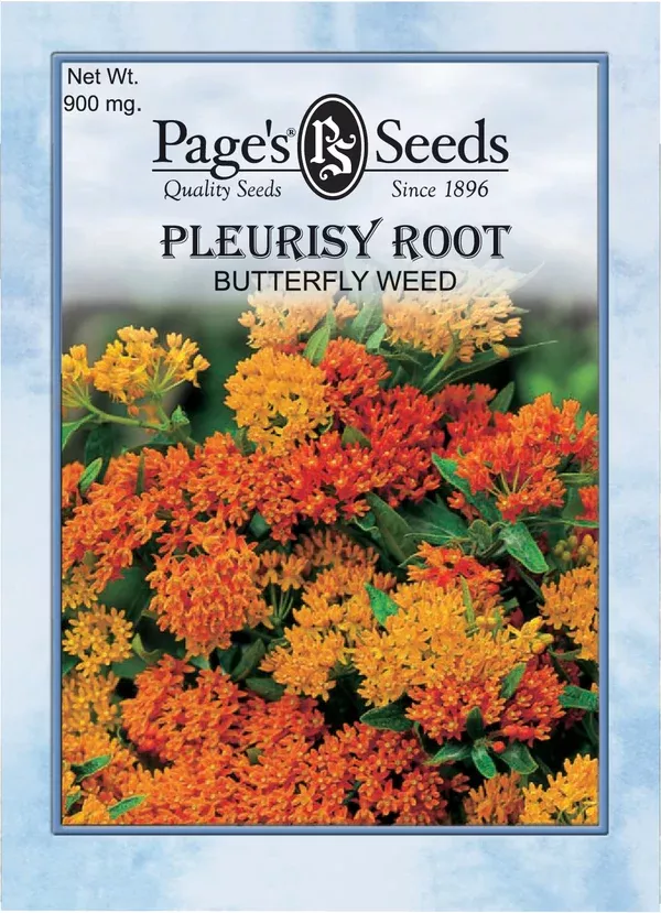 pleurisy-root-butterfly-weed-seeds-1-packet Pleurisy Root Butterfly Weed Seeds - 1 Packet