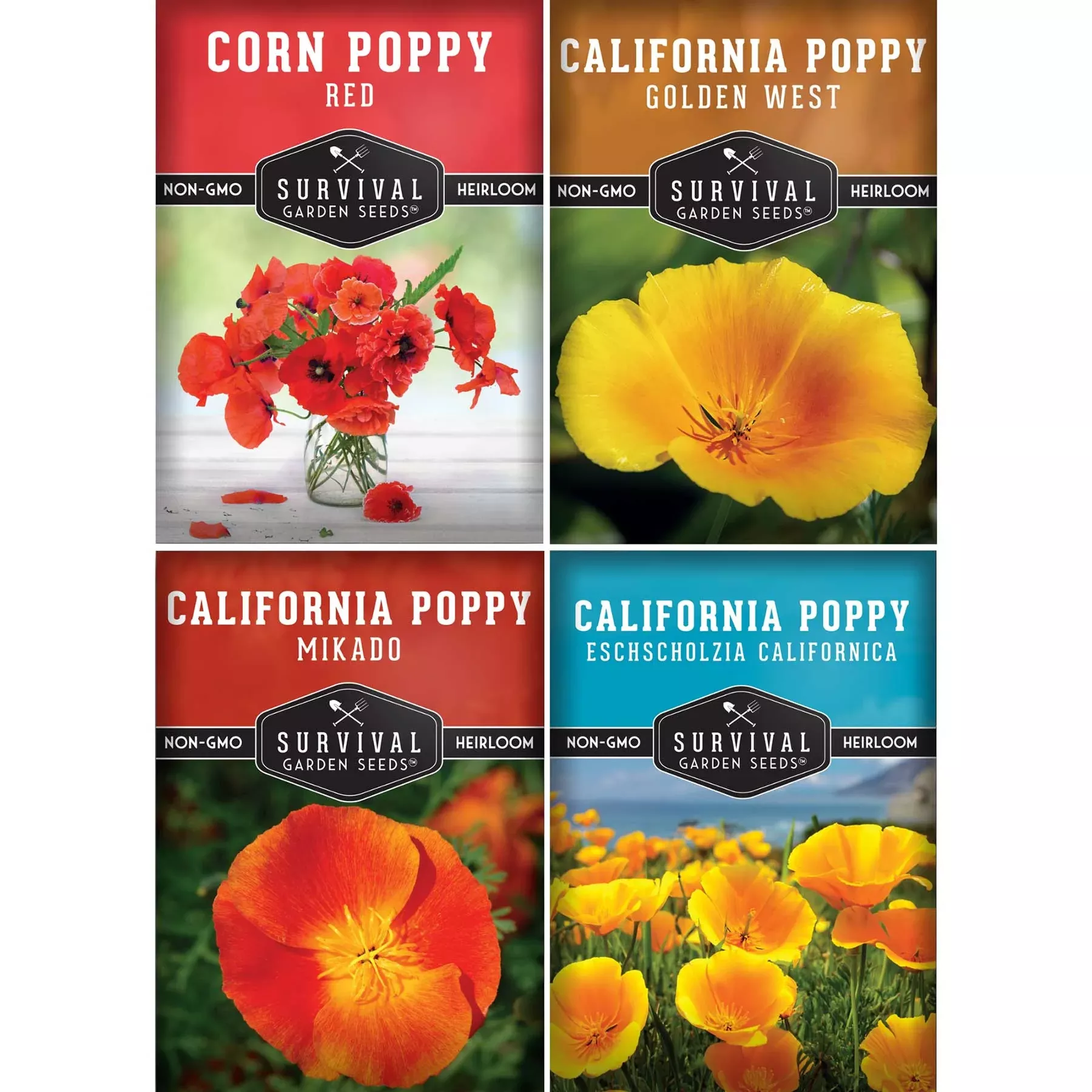 poppy-seed-collection-california-poppy-trio-flanders-poppy-vibrant-pollinator-fr Poppy Seed Collection – California Poppy Trio & Flanders Poppy for Vibrant, Pollinator-Friendly Blooms
