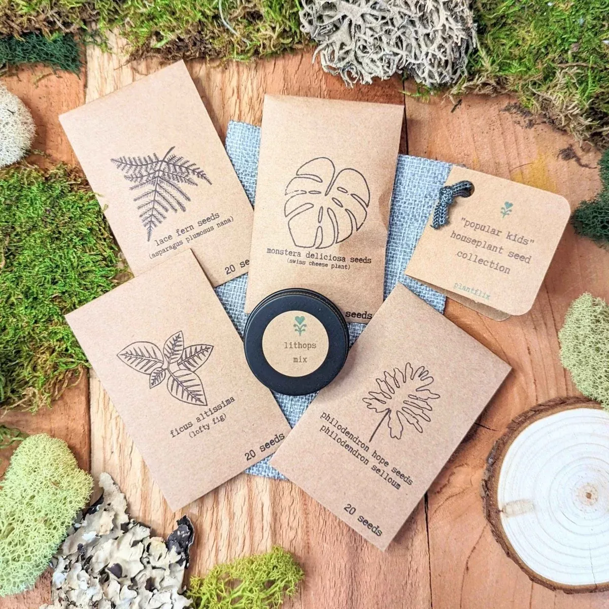 popular-kids-houseplant-seed-collection "The Popular Kids" Houseplant Seed Collection