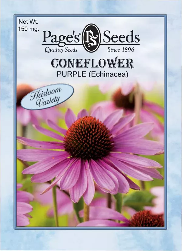 purple-coneflower-seeds-1-packet Purple Coneflower Seeds - 1 Packet