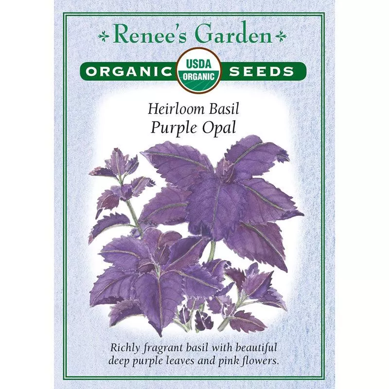 ‘Purple Opal’ Heirloom Basil Seeds (Organic)