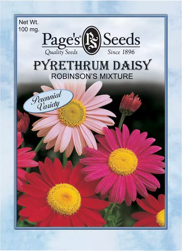 pyrethrum-daisy-robinson-s-mixture-seeds-1-packet Pyrethrum Daisy Robinson’s Mixture Seeds - 1 Packet