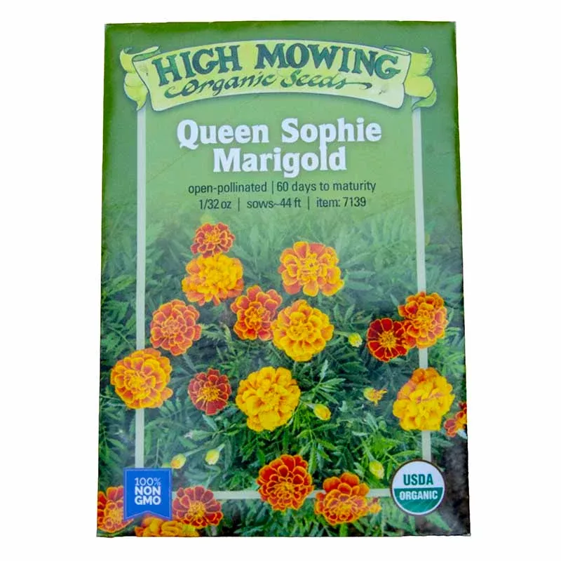 queen-sophie-marigold-seeds-organic Queen Sophie Marigold Seeds (Organic)