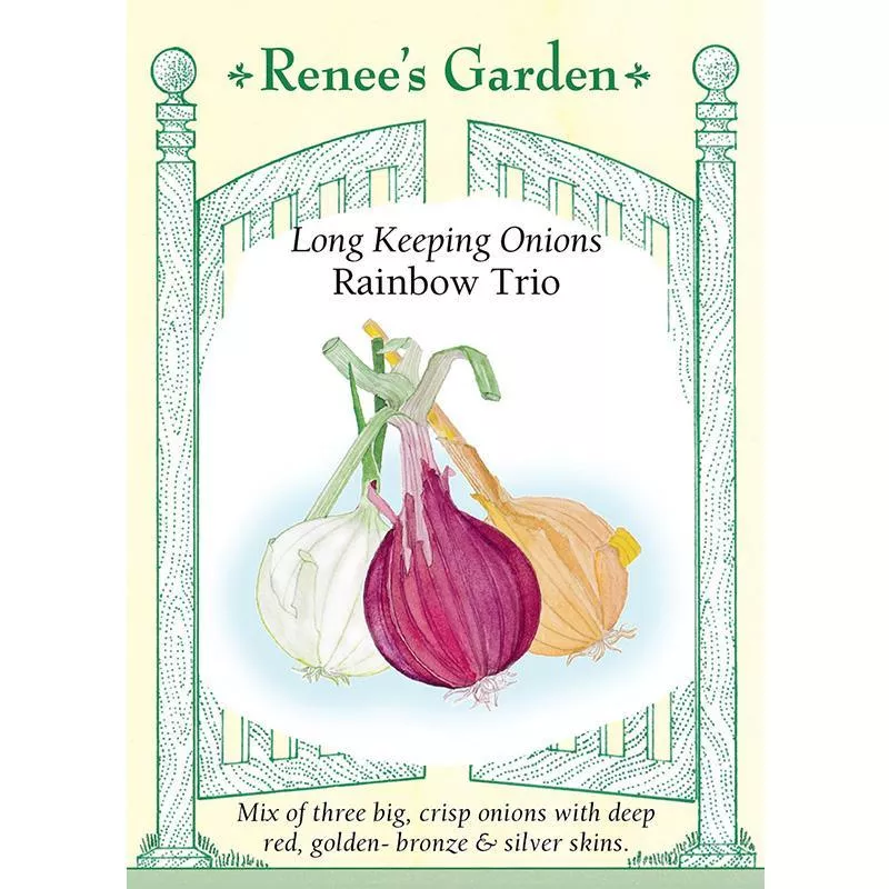 ‘Rainbow Trio’ Long Keeping Onion Seeds