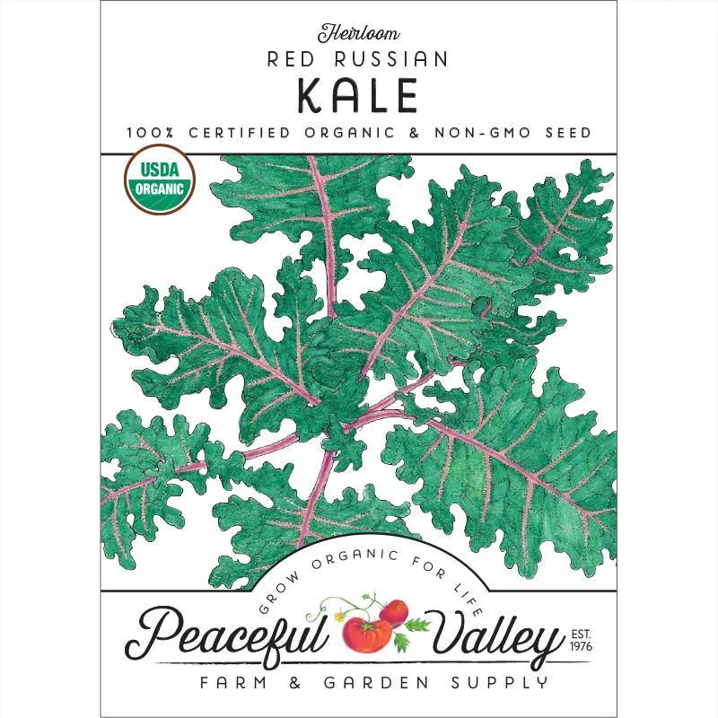 red-russian-kale-seeds-organic Red Russian Kale Seeds (Organic)