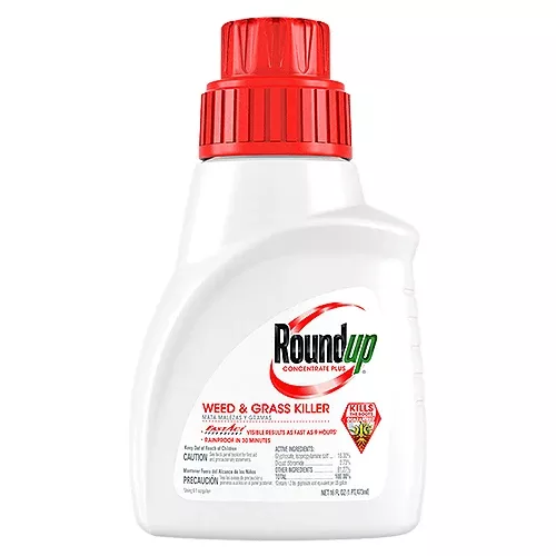 roundup-weed-grass-killer-concentrate-plus-16-oz Roundup Weed and Grass Killer Concentrate Plus - 16 Oz.