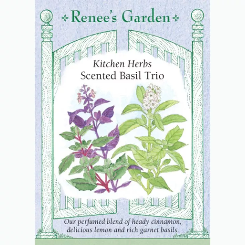 ‘Scented Basil Trio’ Kitchen Herb Seeds