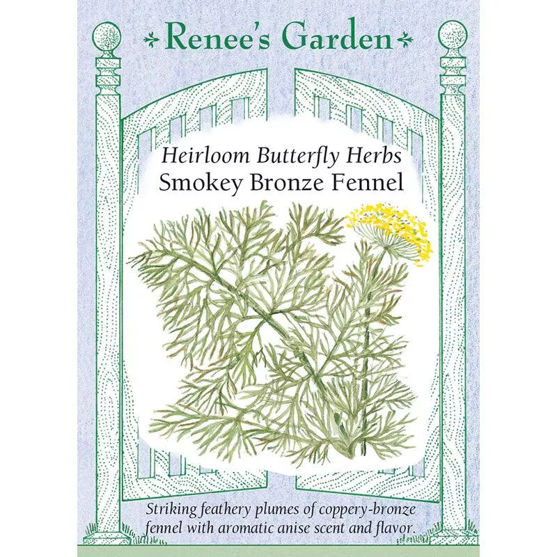 ‘Smokey Bronze Fennel’ Butterfly Herb Seeds