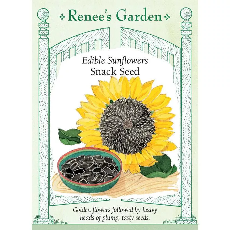 ‘Snack Seed’ Edible Sunflower Seeds