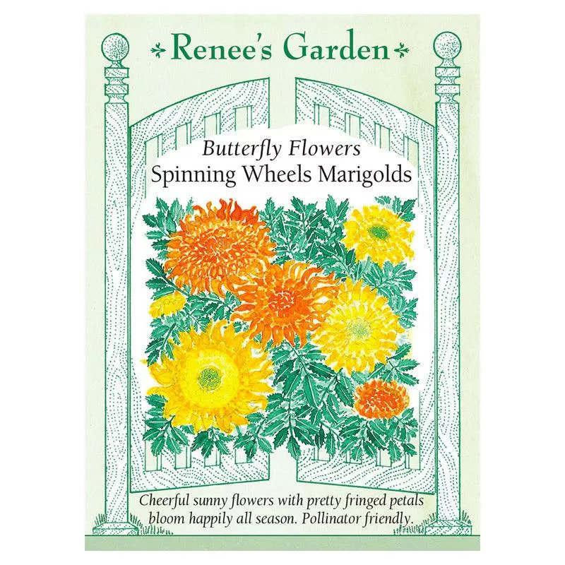 ‘Spinning Wheels Marigolds’ Butterfly Flower Seeds