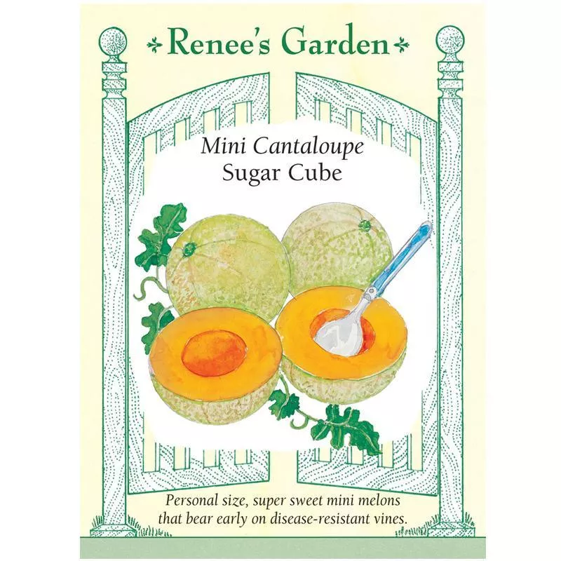 ‘Sugar Cube’ Personal Size Mini Cantaloupe Seeds