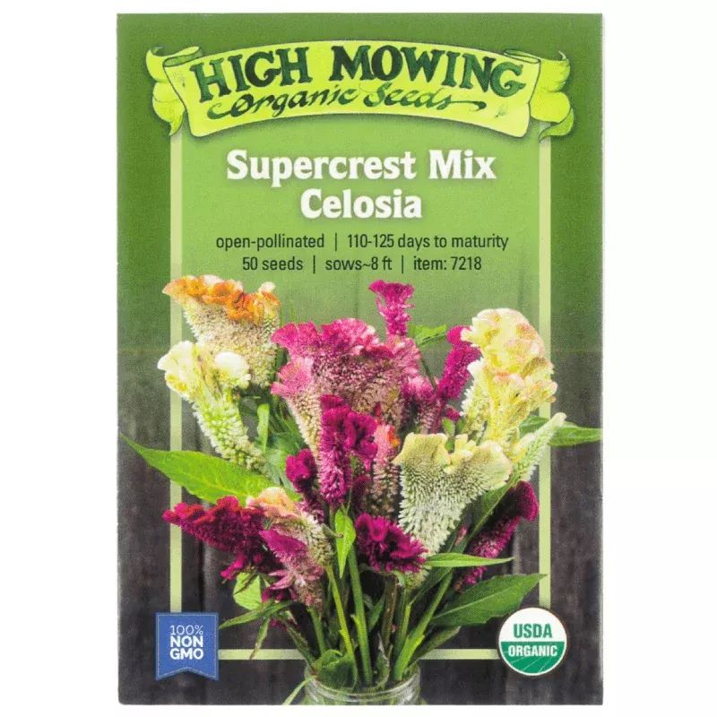supercrest-celosia-seeds-organic Supercrest Celosia Seeds (Organic)