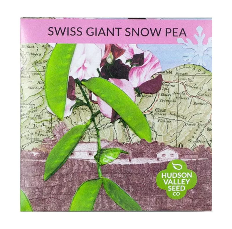 swiss-giant-snow-pea-seeds Swiss Giant Snow Pea Seeds