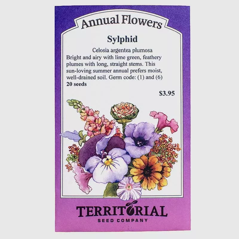 sylphid-celosia-seeds Sylphid Celosia Seeds