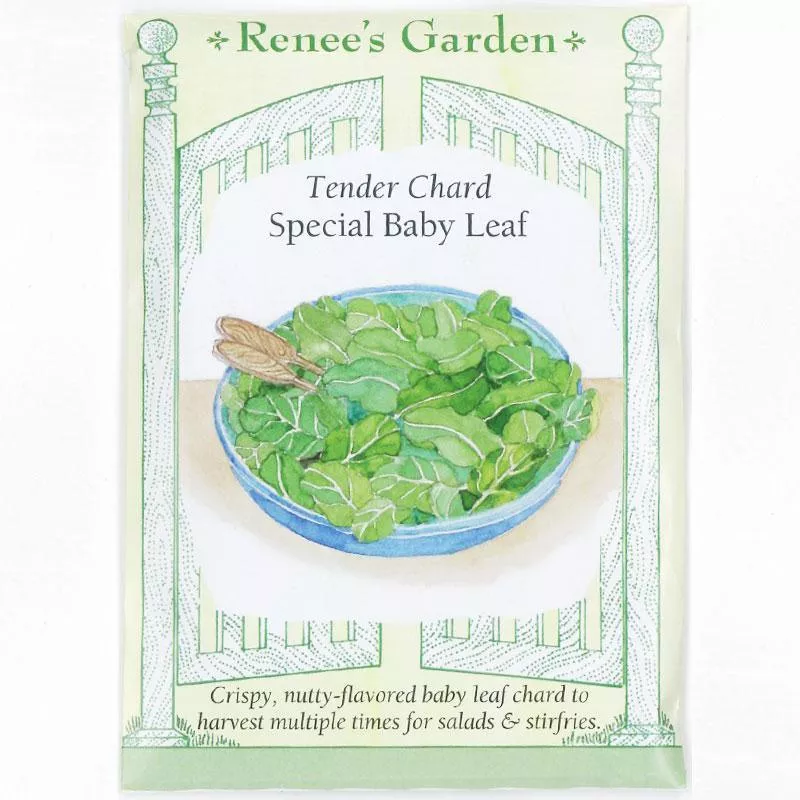 Tender Baby Leaf Chard Seeds