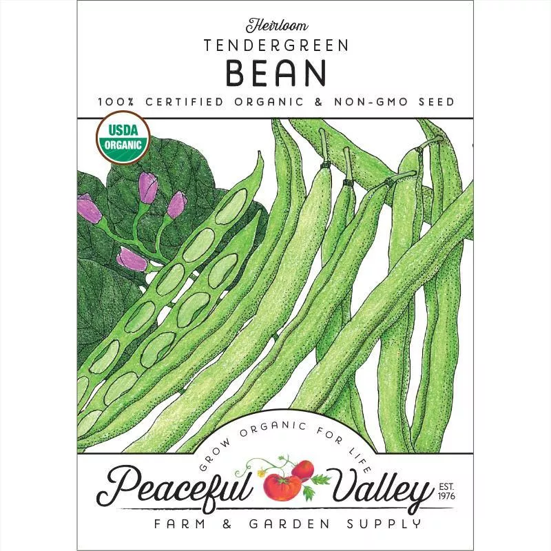 tendergreen-bush-bean-seeds-organic Tendergreen Bush Bean Seeds (Organic)
