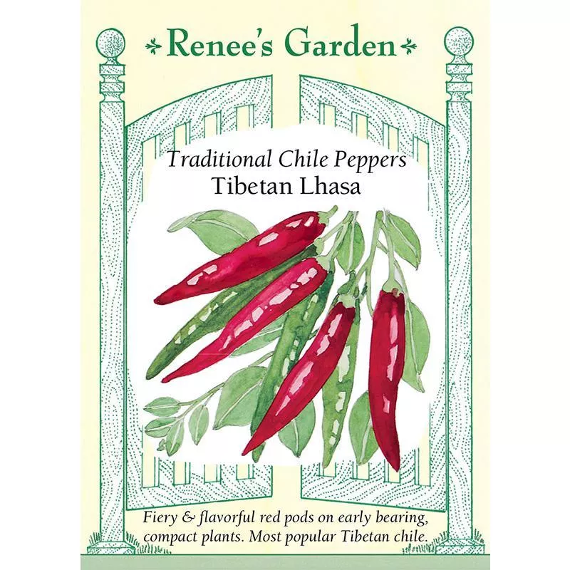 ‘Tibetan Lhasa’ Traditional Chile Pepper Seeds