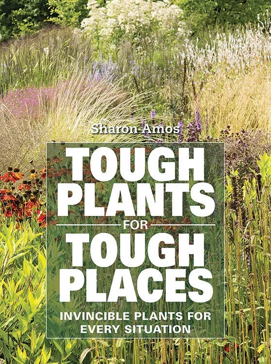 tough-plants-tough-places Tough Plants For Tough Places